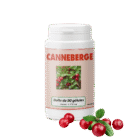Canneberge-deco