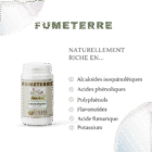 composition Fumeterre