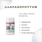 composition harpagophytum