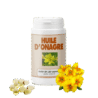 Huile d'onagre capsule atelier des remedes oubliés
