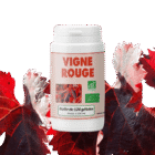 vigne-rouge-deco