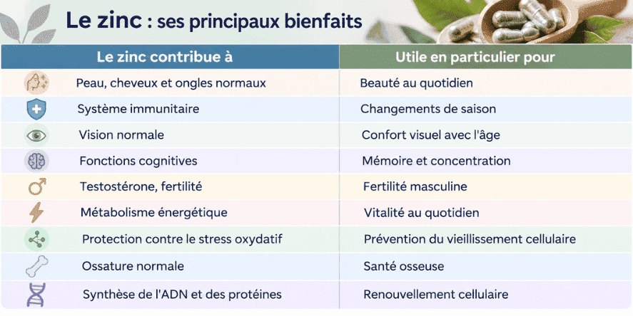 9 raison de consommer du zinc