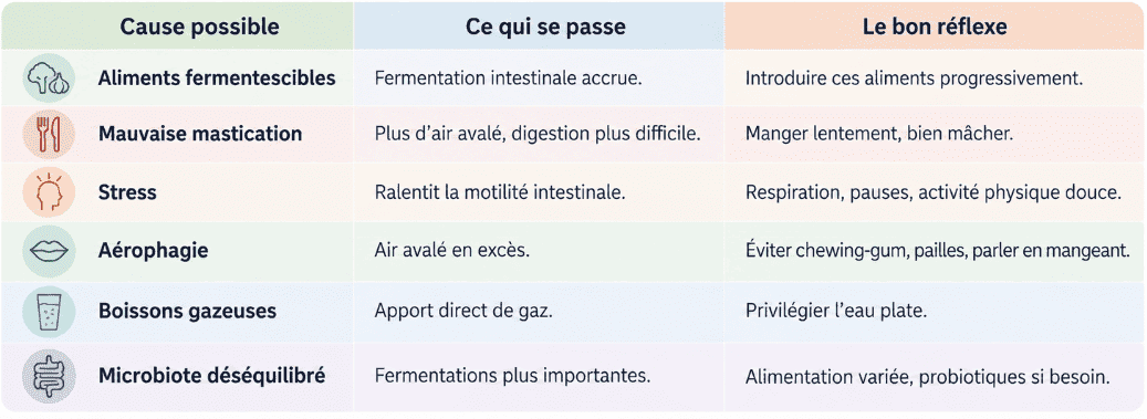 Résumé cause possible ballonnements