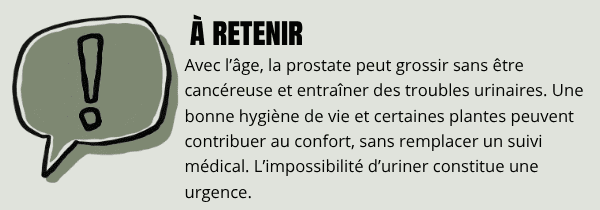 Résumé article prostate