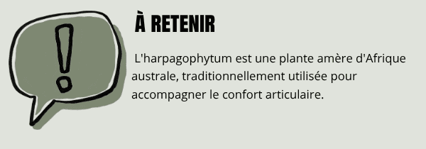 Tradition pour l'harpagophytum