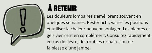 Résumé sur les douleurs lombaires