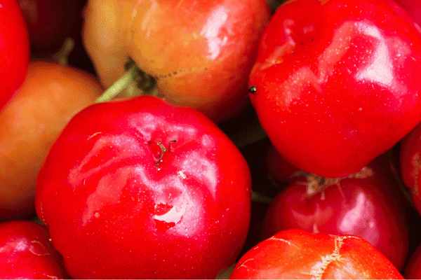 Riche en vitamine C