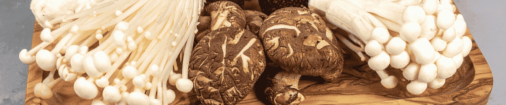 reishi mataike