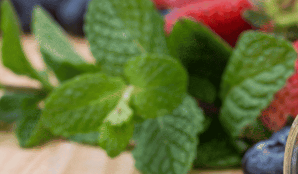 Quel multi-vitamines choisir