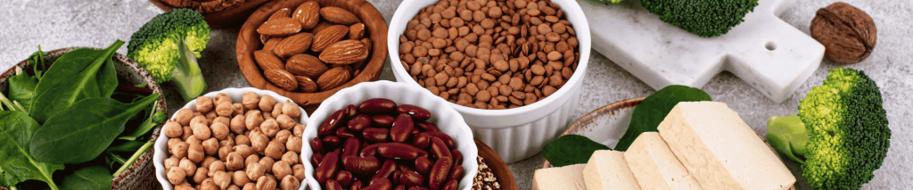 Aliments végétaux riches en protéines