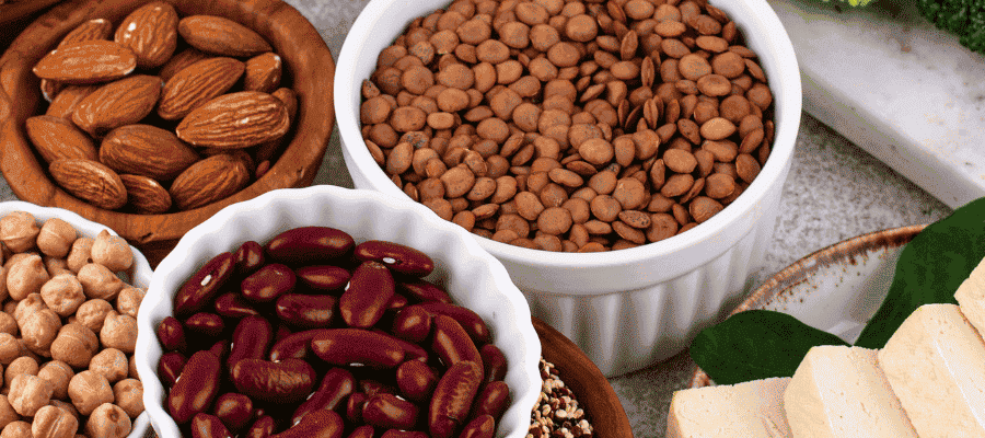 Aliments végétaux riches en protéines