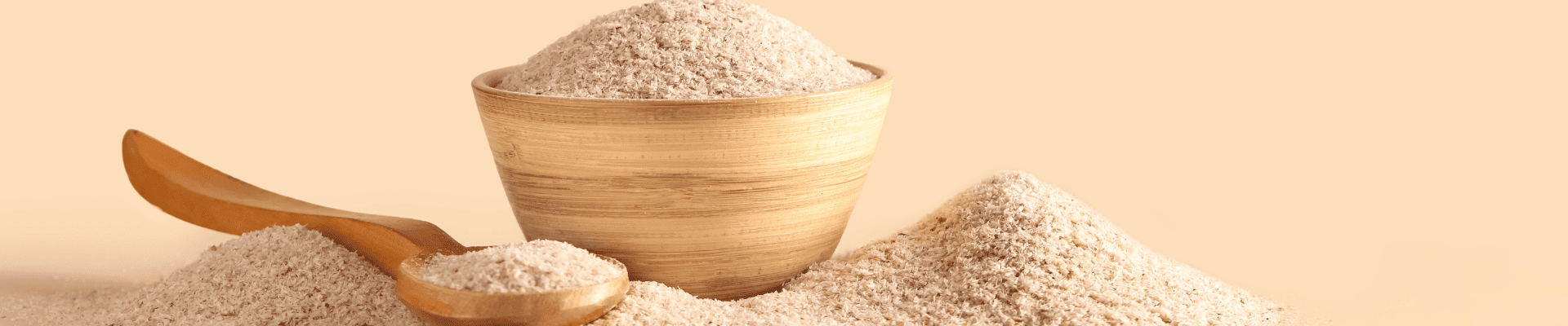 Psyllium en poudre
