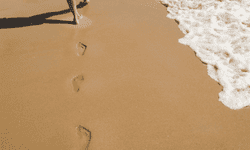 traces de pied dans le sable